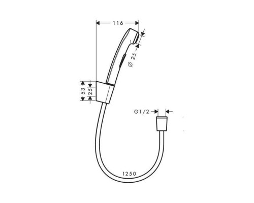 Hansgrohe Гигиенический душ 1jet, со шлангом 1,25м и настенным держателем, цвет: шлифованный черный хром. 32129340 Hansgrohe Гигиенический душ 1jet, со шлангом 1,25м и настенным держателем, цвет: шлифованный черный хром. 32129340