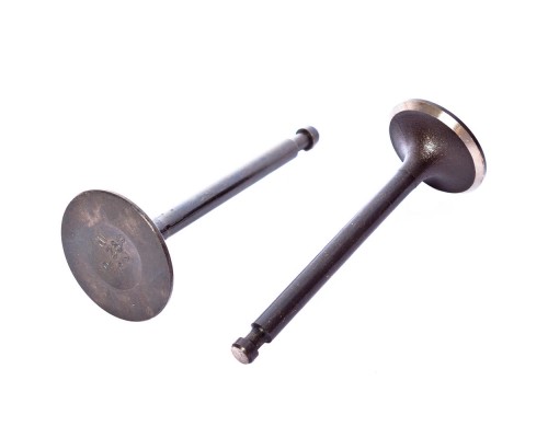 Клапаны для двигателя 190F(комплект) (870461)