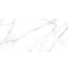 Плитка настенная Alma Ceramica Grigio TWU09GRG007 глянцевая 24,9x50 серая