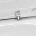 Hansgrohe CreekTide Q Сиденье для унитаза, с микролифтом, с верхним креплением, цвет: белый. 60126450