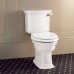 DevonDevon Westminster Унитаз моноблок 64x36,5 cм, горизонтальный выпуск, с бачком, фурнитура бронза. IBWCWES, IBCBWES, IBBATT-CM/WEST, IBLEVADX/BR