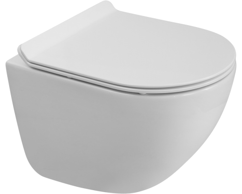 Унитаз подвесной BelBagno Amanda BB051CH-TOR-FC безободковый, крышка BB2011SC с микролифтом Унитаз подвесной BelBagno Amanda BB051CH-TOR-FC безободковый, крышка BB2011SC с микролифтом