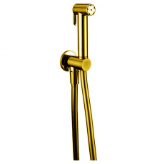 CISAL Shower Гидроершик со шлангом 120 см,вывод с держателем, цвет: золото. A300791024 Акция