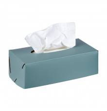 ADJ Салфетница Kleenex, 23x12xH7,5 см., цвет: небесный/эвкалипт. 0016.50/60