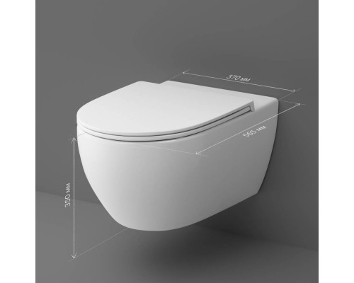 C111700WH Унитаз подвесной FlashClean, без сиденья C111700WH Унитаз подвесной FlashClean, без сиденья