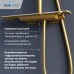 Душевая система RGW SP-34Gb