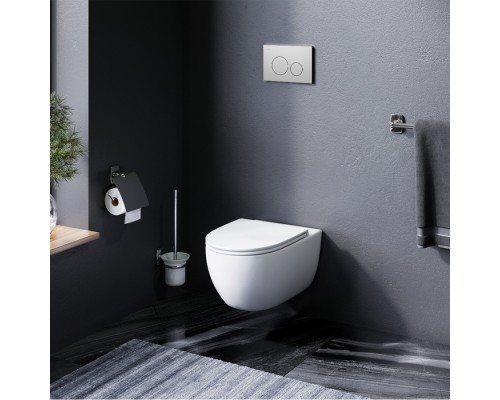C111700SC Унитаз подвесной FlashClean безободковый с сиденьем микролифт C111700SC Унитаз подвесной FlashClean безободковый с сиденьем микролифт