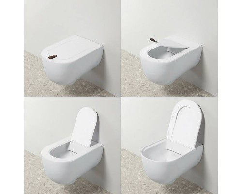 Artceram THE ONE Унитаз подвесной безободковый 52х35см, с креплениями, цвет: grigio oliva