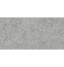 Керамогранит Alma Ceramica Amsterdam GFA114ADM70R 57x114 серый, сатинированный