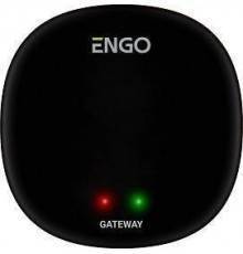 Универсальный интернет шлюз Zigbee для ENGO Smart