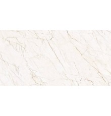 Керамогранит Realistik Astra Matt Carving 60x120