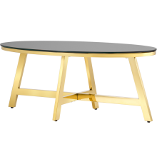 Журнальный столик Stool Group Альба 100x50 см, стекло черное, опора золото
