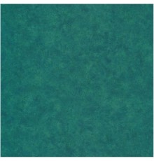 Обои Caselio Beton 101487169