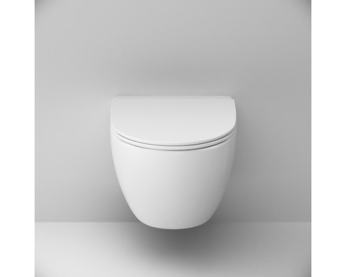 C111700SC Унитаз подвесной FlashClean безободковый с сиденьем микролифт C111700SC Унитаз подвесной FlashClean безободковый с сиденьем микролифт