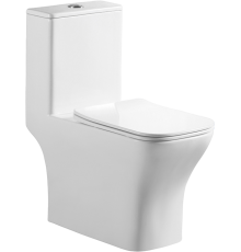 Унитаз-моноблок BelBagno Neon BB8617CPR-MN/SC безободковый, с микролифтом