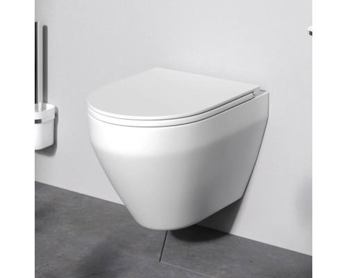C701700SC Унитаз подвесной FlashClean, с сиденьем C701700SC Унитаз подвесной FlashClean, с сиденьем