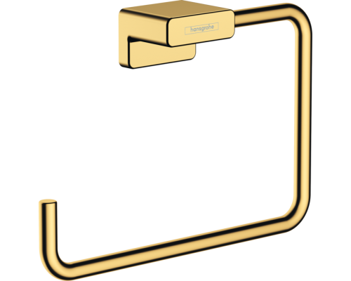 HG 41 754 990 AddStoris Кольцо для полотенца, металл 41754990