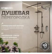 Душевая перегородка STWORKI Берген 100 см, профиль черный матовый, прозрачное стекло