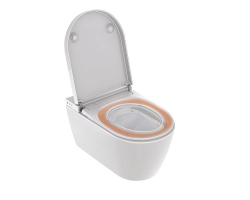 Duravit Starck f Pro Compact Комплект унитаз-биде, Сиденье для унитаза-биде SensoWash #612001012000310 и унитаз Duravit Rimless #2510092000, цвет: белый. 650002012004300 (2510092000+612001012000310) Duravit Starck f Pro Compact Комплект унитаз-биде, Сиденье для унитаза-биде SensoWash #612001012000310 и унитаз Duravit Rimless #2510092000, цвет: белый. 650002012004300 (2510092000+612001012000310)