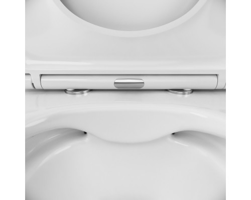 C111700SC Унитаз подвесной FlashClean безободковый с сиденьем микролифт C111700SC Унитаз подвесной FlashClean безободковый с сиденьем микролифт