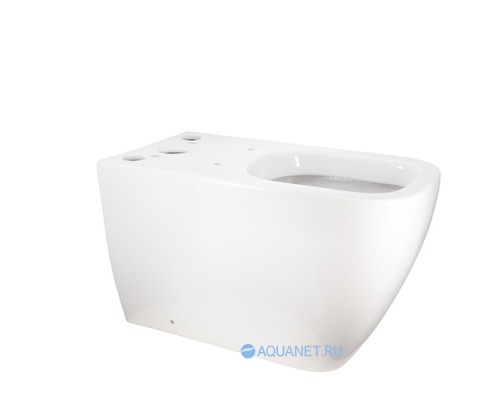 Унитаз-компакт Allen Brau Infinity 4.21001.20 белый