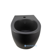 Биде подвесное Allen Brau Fantasy 4.11006.AN антрацит