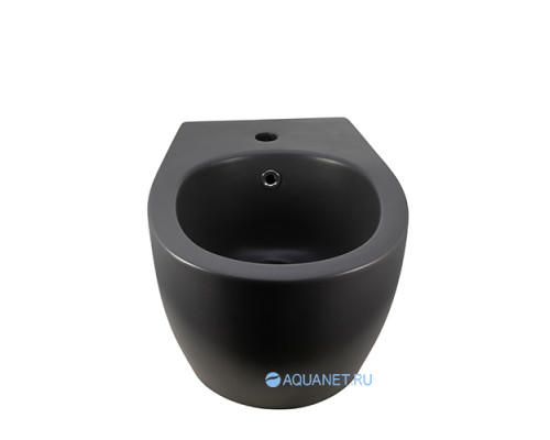 Биде подвесное Allen Brau Fantasy 4.11006.AN антрацит