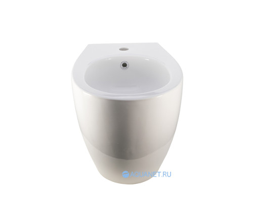 Биде напольное Allen Brau Fantasy 4.11008.20 белый глянец