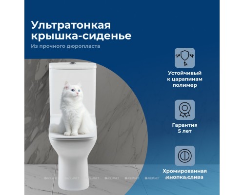 Унитаз-компакт Aquanet Rimless Cube-C CL-12248B