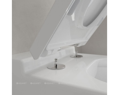 Подвесной унитаз Villeroy & Boch Finion 4664 R0 R1 375x560 CeramicPlus