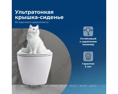 Унитаз подвесной Aquanet Rimless Cetus 2.0 W LX-1901