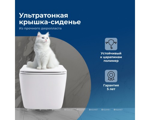 Унитаз подвесной Aquanet Rimless Tavr 2.0 W LX-1907