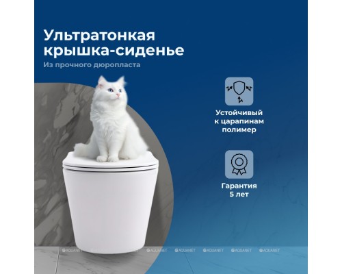 Унитаз подвесной Aquanet Rimless Atago 2.0 W LX-1905