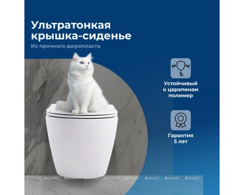 Унитаз подвесной Aquanet Rimless Cetus W Short LX-1900