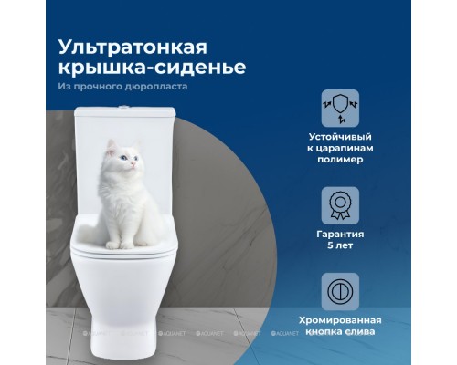 Унитаз-компакт Aquanet Fine Rimless FINE-C Soft Close