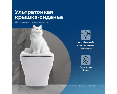 Унитаз подвесной Aquanet Elegant Rimless Elegant W LX-1163 Soft Close