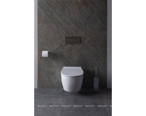 Унитаз подвесной Allen Brau Fantasy 4.11HC1.20 белый