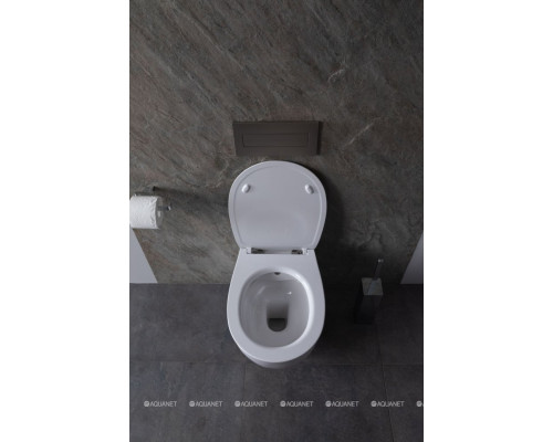 Унитаз подвесной Allen Brau Fantasy 4.11HC1.20 белый