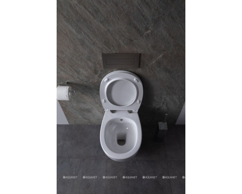 Унитаз подвесной Allen Brau Fantasy 4.11HC1.20 белый