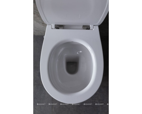 Унитаз подвесной Allen Brau Fantasy 4.11HC1.20 белый