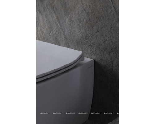 Унитаз подвесной Allen Brau Fantasy 4.11HC1.20 белый