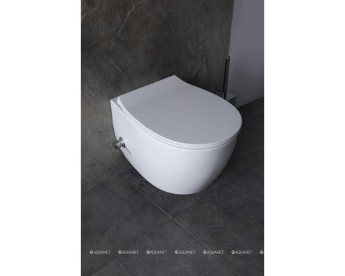 Унитаз подвесной Allen Brau Fantasy 4.11HC1.20 белый