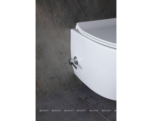 Унитаз подвесной Allen Brau Fantasy 4.11HC1.20 белый