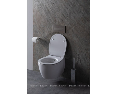 Унитаз подвесной Allen Brau Fantasy 4.11HC1.20 белый