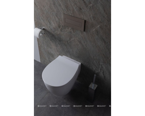 Унитаз подвесной Allen Brau Fantasy 4.11HC1.20 белый