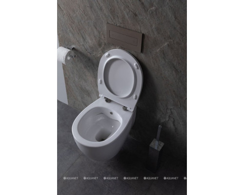 Унитаз подвесной Allen Brau Fantasy 4.11HC1.20 белый