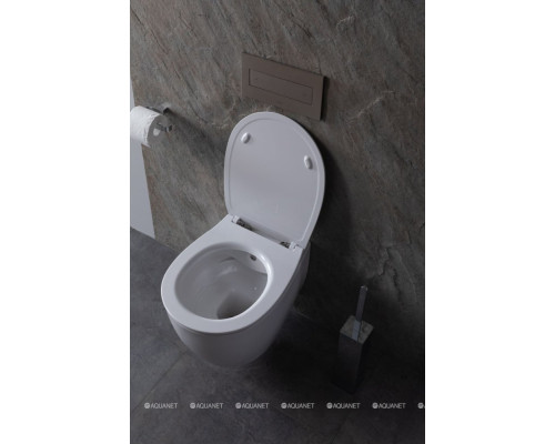 Унитаз подвесной Allen Brau Fantasy 4.11HC1.20 белый