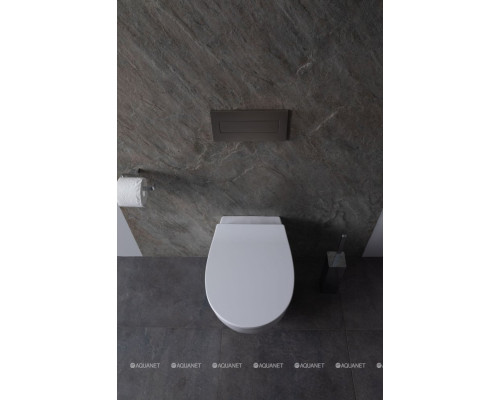 Унитаз подвесной Allen Brau Fantasy 4.11HC1.20 белый