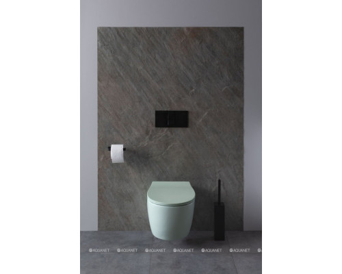 Унитаз подвесной Allen Brau Fantasy 4.11004.MT мятный