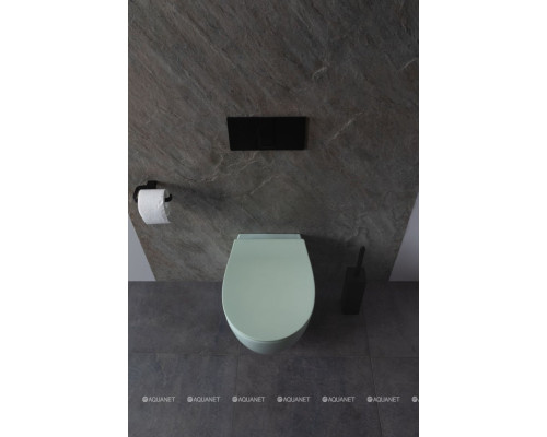 Унитаз подвесной Allen Brau Fantasy 4.11004.MT мятный